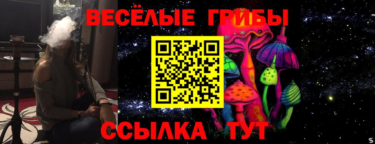 Галлюциногенные грибы мицелий  Псилоцибиновые грибы прущие грибы  цена наркотик  Магадан  Вход с VPN 